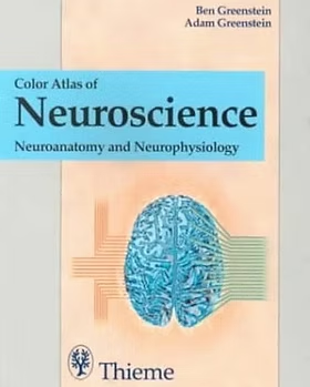 Color Atlas of Neuroscience: Neuroanatomy and Neurophysiology