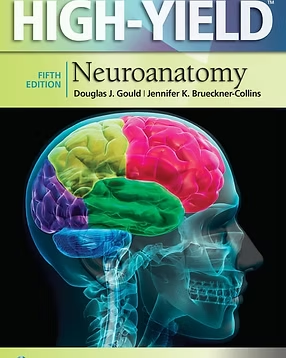 HIGH-YIELD Neuroanatomy, 5th Edition